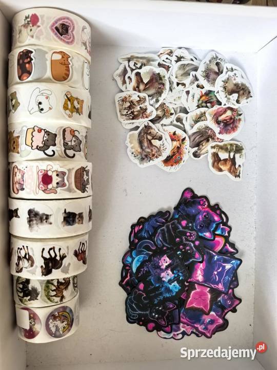 Naklejki koty i konie Tczew