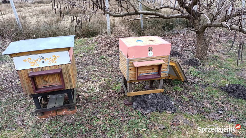 PSZCZELI DREWNIANY 2 SZTUKI