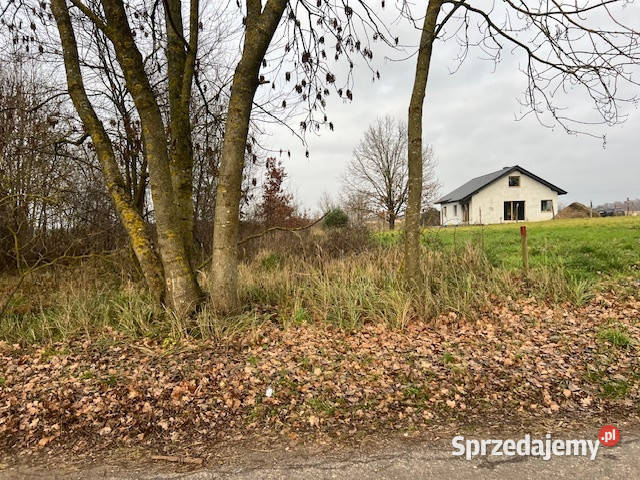 Syndyk sprzeda działkę 934 Wyszomierz Gmina 1515m2 sprzedam