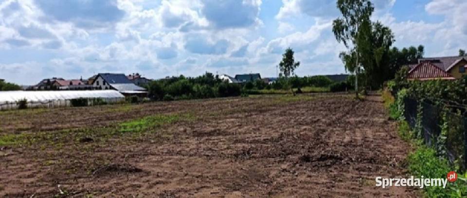 Działka Budowlana 6600 m2 Różanej Syców sprzedam
