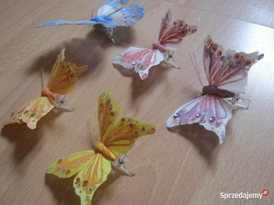 Motyle ozdobne