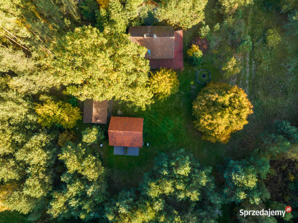 Siedlisko w otulinie lasu sprzedam