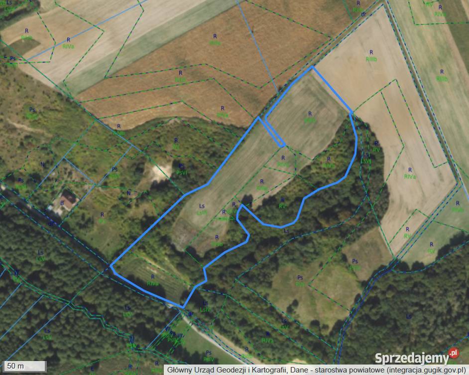 Ziemia rolna 280ha 34 klasa Podzamek Golubski 11zł/m2 Grunty i działki kujawsko-pomorskie