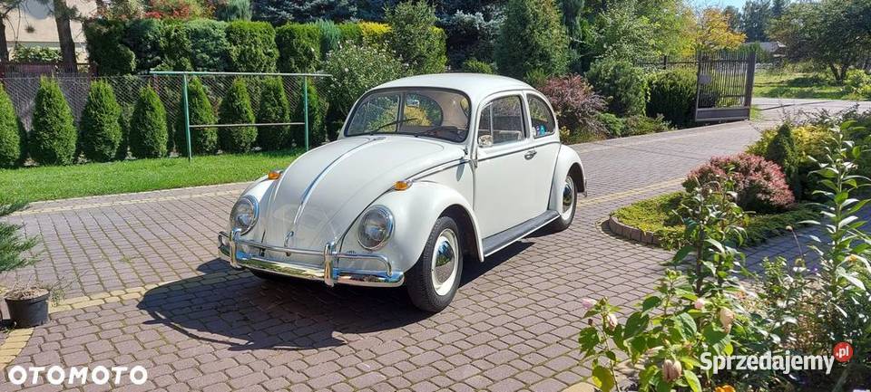 VW Garbus 1965r Beetle nieuszkodzony Podłęże