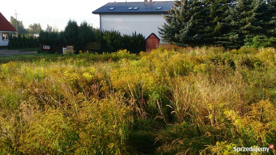 działka budowlana lubuskie Gorzów Wielkopolski sprzedam