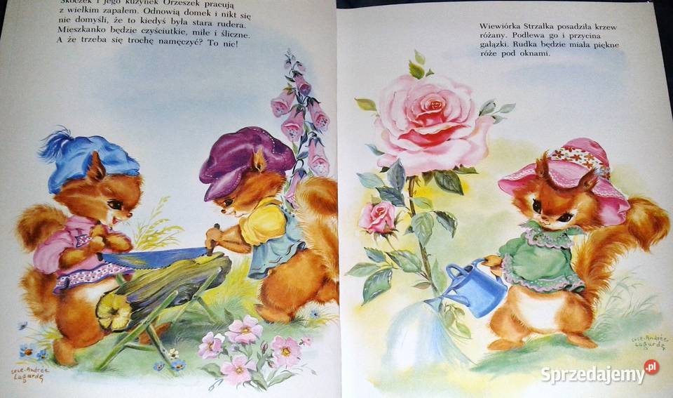 Droga tęczą LuceAndree Lagarde Chełm sprzedam