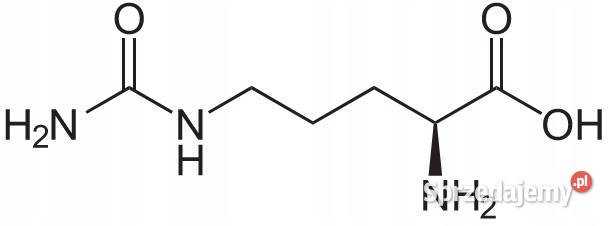 LCytrulina Jabłczan Citrulline Malate 99 100g Łódź