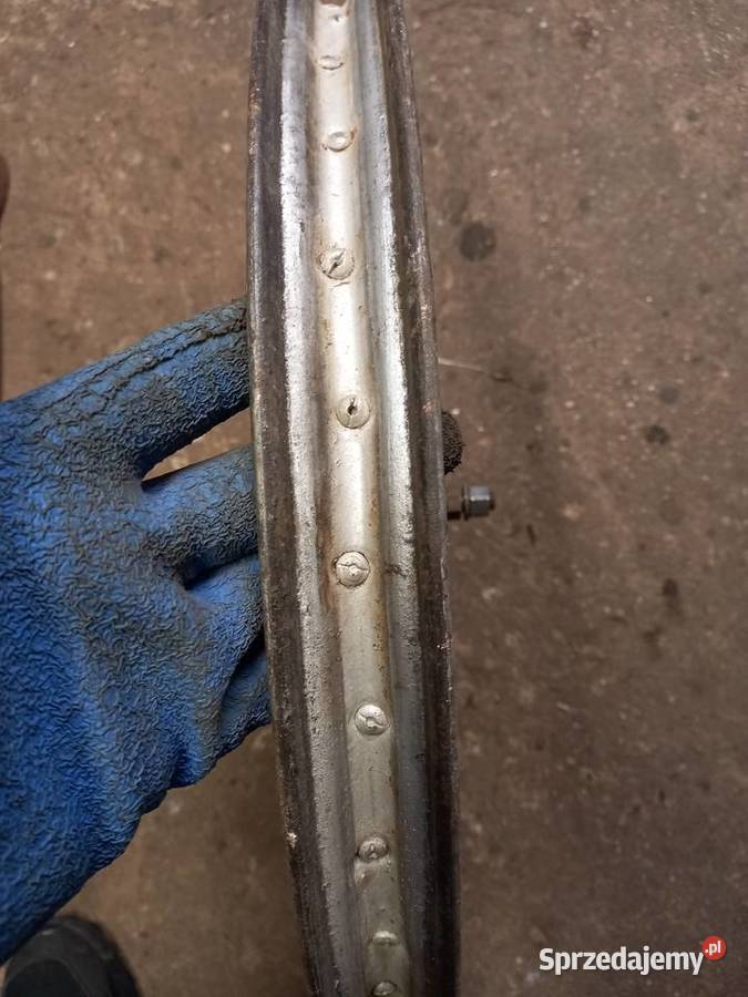 Kolo zak rys Sokołów Podlaski