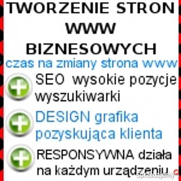 Wykonanie strony internetowej biznesowej wielkopolskie Poznań