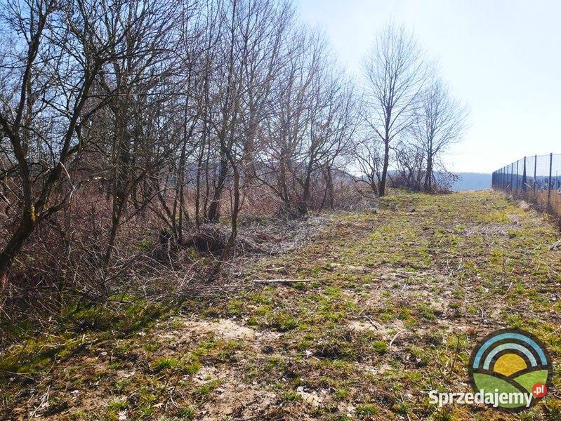 Niegoszowice gm Zabierzów działka 186 arowa w Sprzedaż