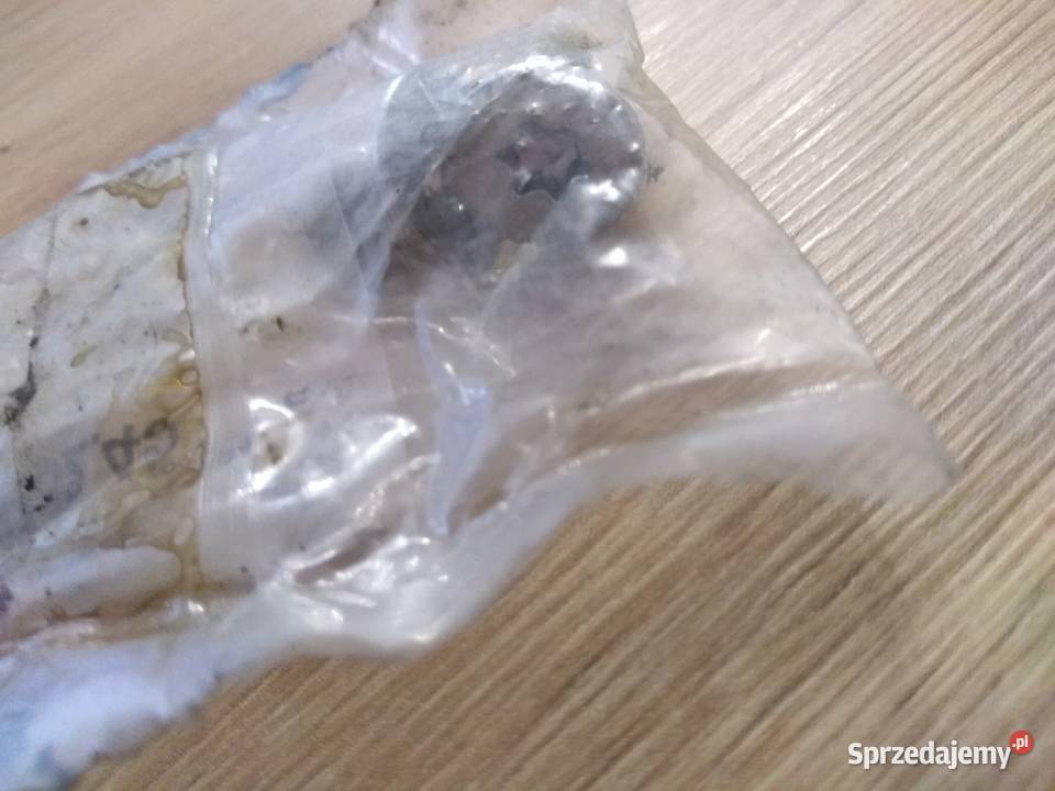 Śruba tarczy hamulcowej Clio I II III Lublin