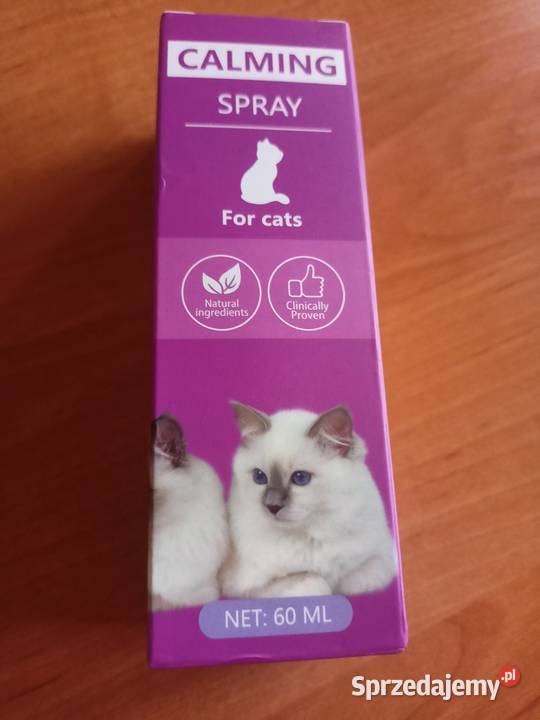 Feromony kota kujawsko-pomorskie Włocławek