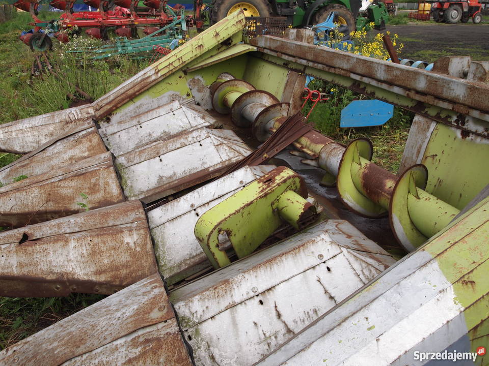 Heder do kukurydzy 5 rzędowy CLASS nieuszkodzony Zielona