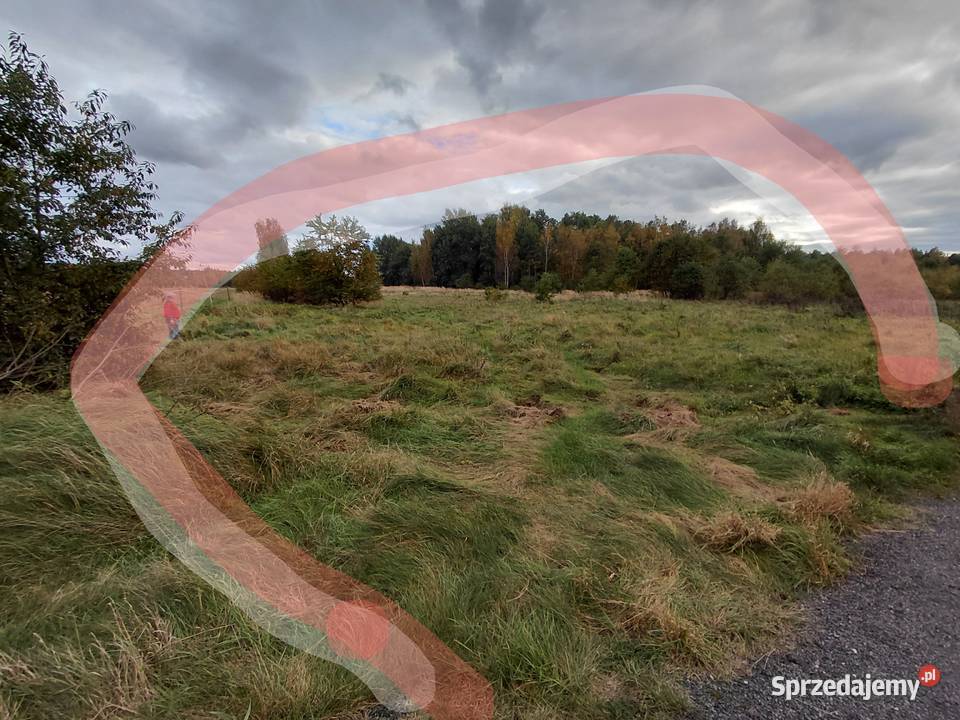 Sprzedam ziemię rolna 7000m2 Goleniów