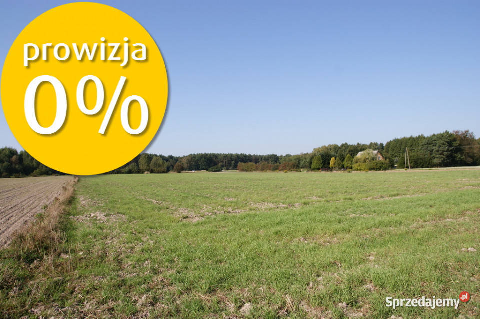 Duża działka jeziorem Krasne pod inwestycję rekreacyjna Sprzedaż sprzedam