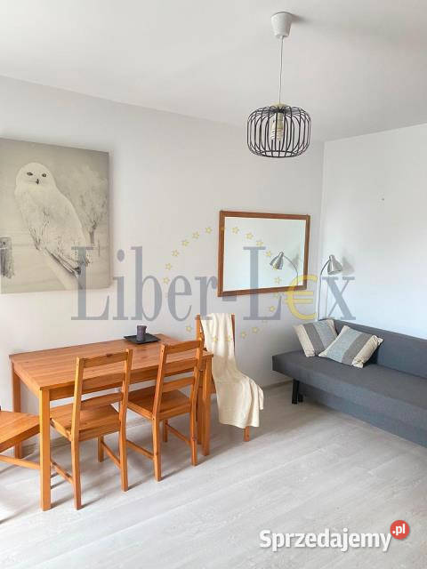 Mieszkanie Warszawa Górczewska 23m2
