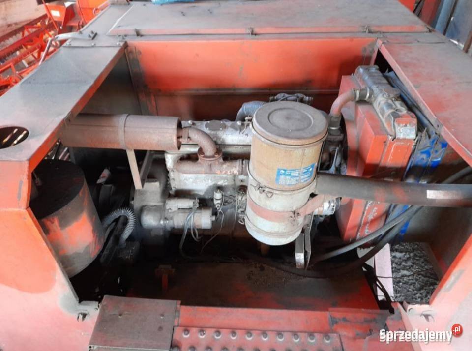 Bizon z056 nierekordgigantbs Jelenie