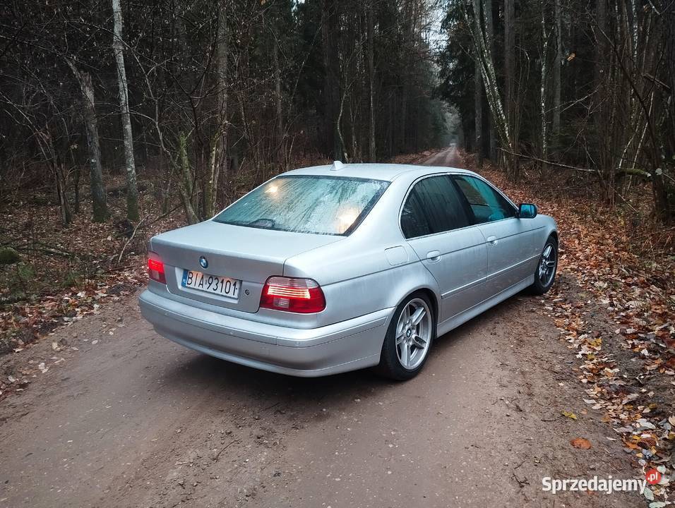 BMW E39 25 BG 2001 r Sedan polif