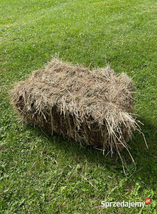 Siano kostka Pozostałe Lubaczów