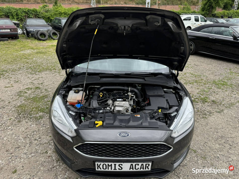 Ford Focus Szczecin