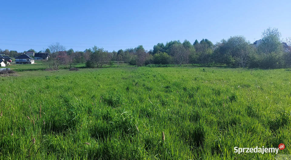 sprzedaży działki 1287m2 Mucharz woda