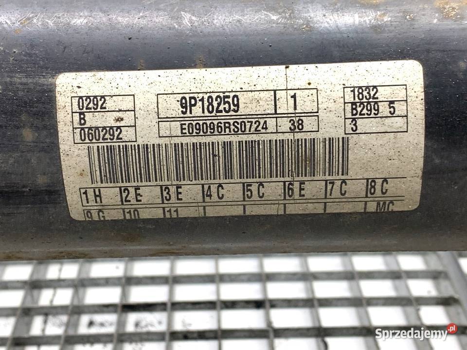 BELKA TYŁ FORD FIESTA MK7 Hatchback TYLNA osobowe