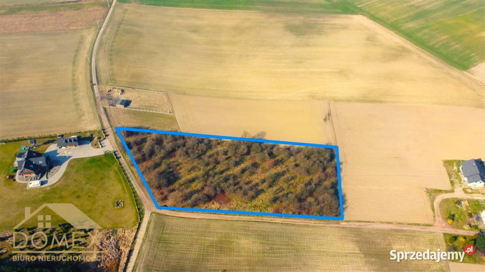 sprzedaży działki Czernica 7500m2 śląskie