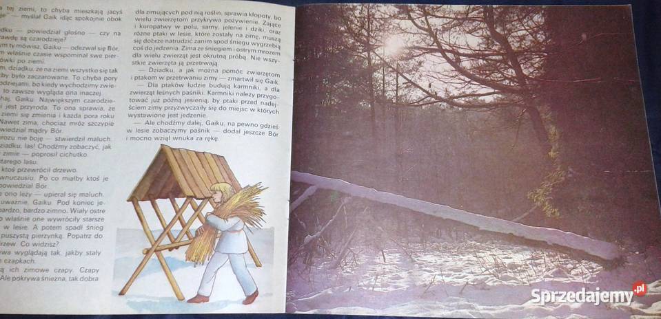 Bór i Gaik w zimowej szacie Marek Pietrzak Chełm