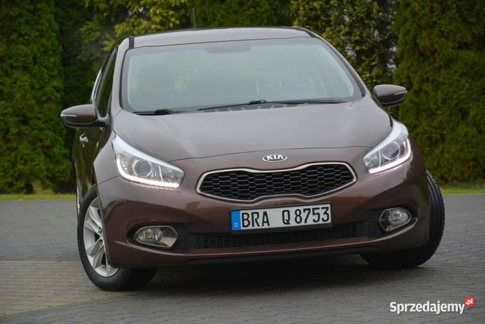 Kia Ceed Platinum Lift Navi Ledy Kamera przyciemniane szyby Ostrów Mazowiecka