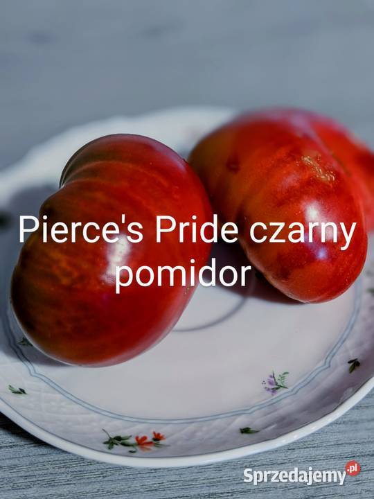 Cudo Ziemi Aly Mustang Pomidor nasiona pokarm Kraków sprzedam