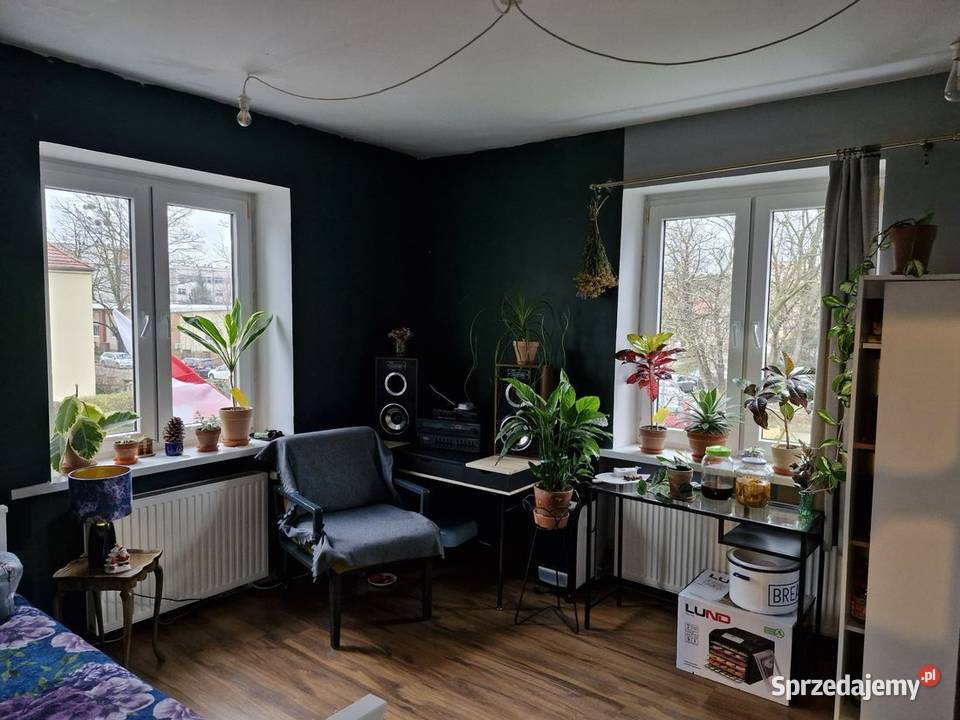 3pok 79met Sportowej BALKON PIWNICA OGRÓD GARAŻ Sprzedaż Wrocław