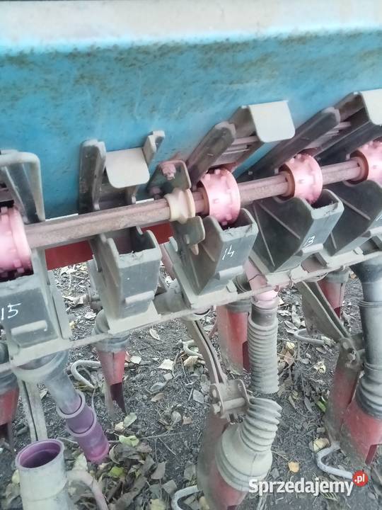 Siewnik isaria Iłowiec