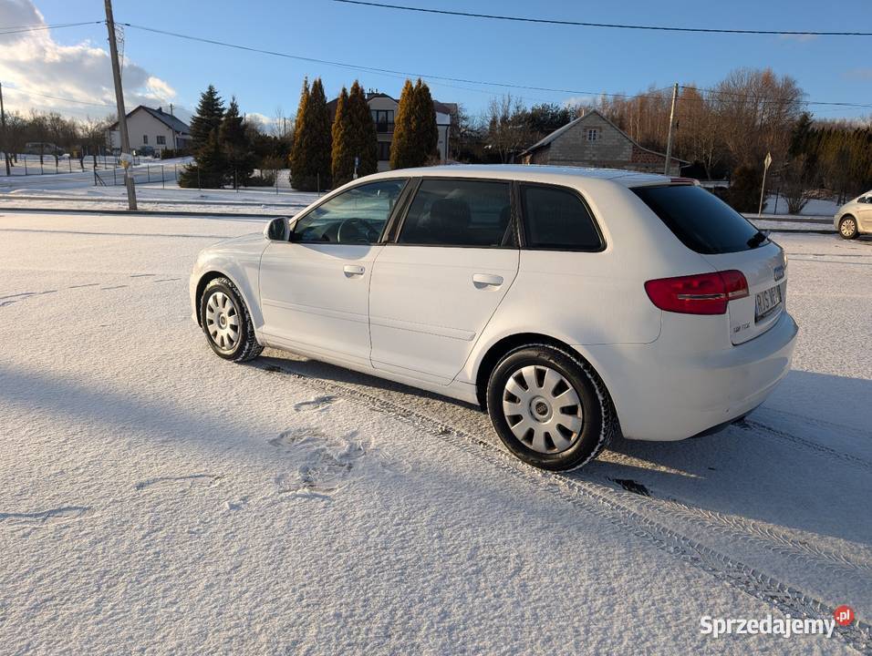 Audi A3 8P Lift 19TDI Jasło