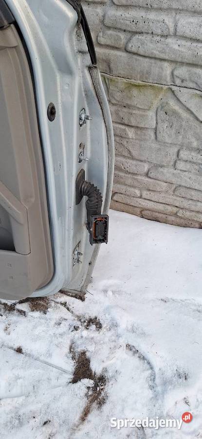 kompletne drzwi Lewy przód Renault Megane II 19 osobowe śląskie Myszków