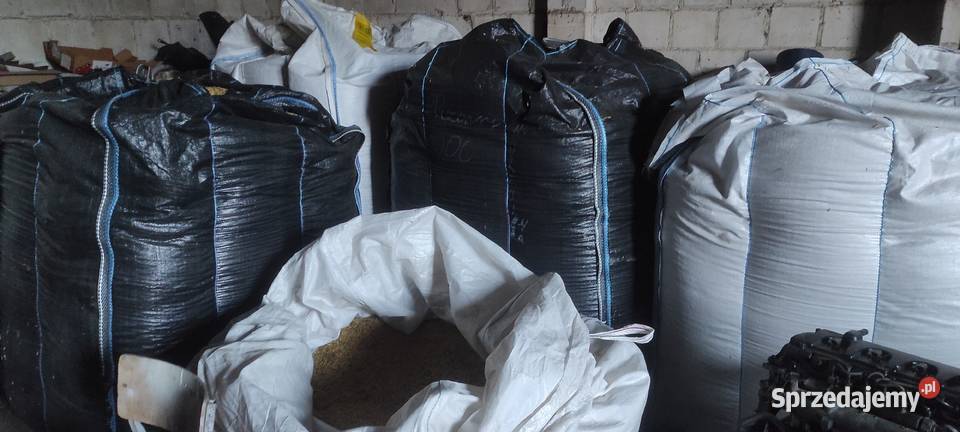 Owies ok 253 tony zbiór 2025 lubelskie Kock Sułoszyn