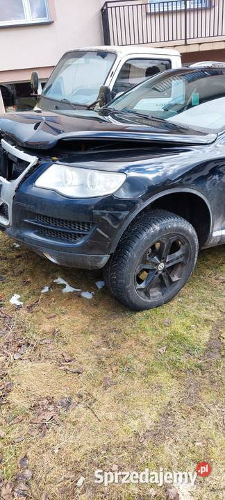 Touareg spotkaniu z sarną 235000km Przyborów