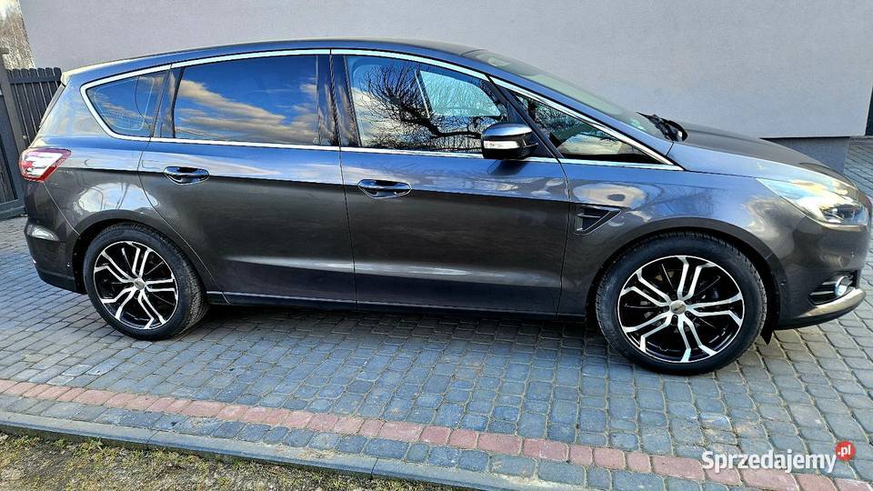 Ford S 20 TDCI 180 Gubin