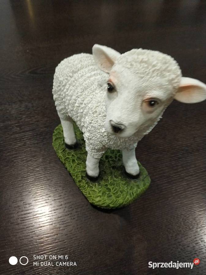 Baranek wielkanocny Straszęcin sprzedam