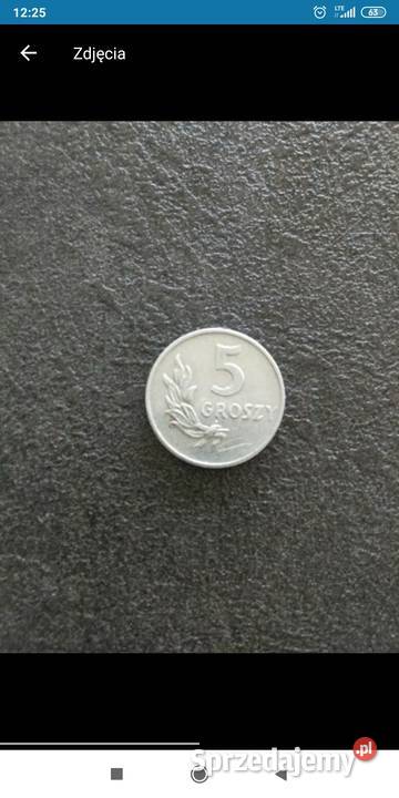 Moneta 5 gr 1949 Bolesławiec