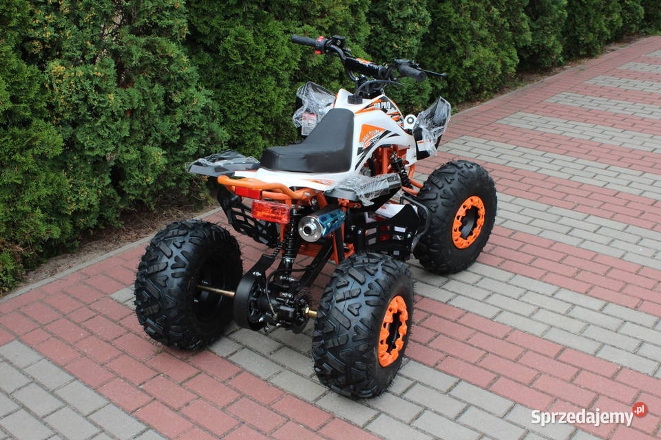 Quad raptor 125 średni 31 dzieci młodzieży Rok produkcji 2021 Goleniów