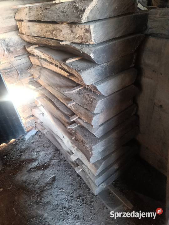 Brusy Dębowe 2500 calość Padew Narodowa