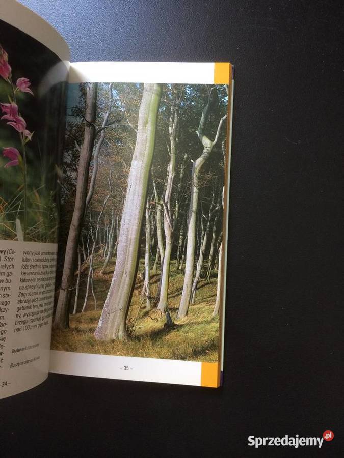 353 Woliński Park Narodowy Szczecin