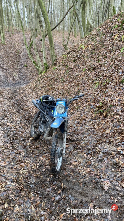 Suzuki ts 125 Łubki