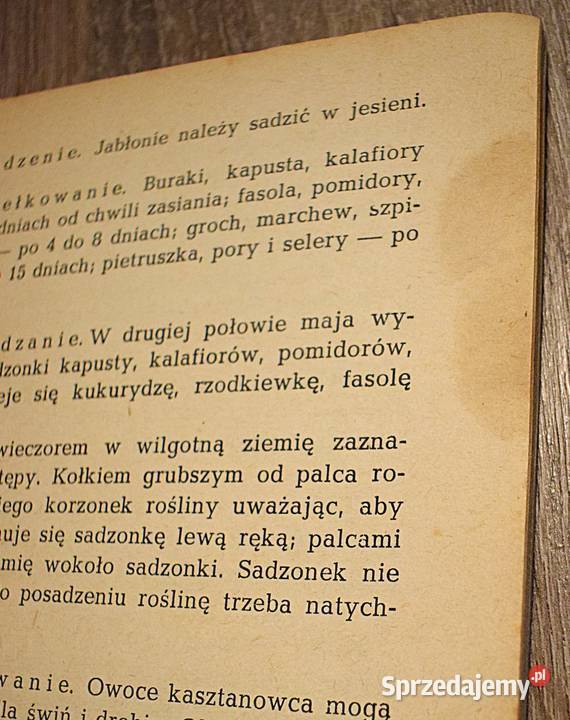 Poradnik domowy na co dzień Eugenia Praska 1956 Chełmno