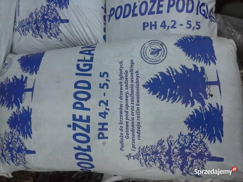 KORA SOSNOWA MAZOWIECKIE WARSZAWA GRÓJEC PODKOWA Warszawa