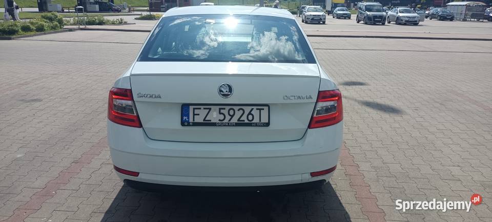 Skoda Octavia Skoda Octavia 15 TSI Active z Rok produkcji 2019 Zielona Góra