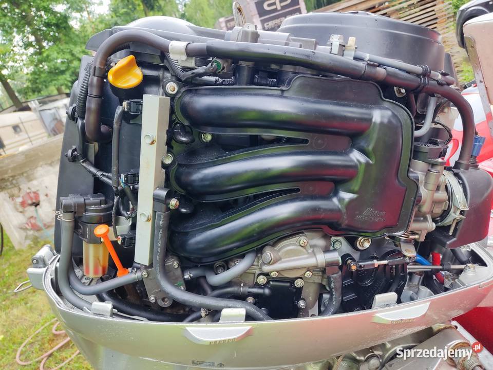 Rib Marshall M60 plus Honda BF 40