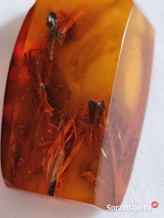 Bursztyn Inkluzja Roślinna Białystok