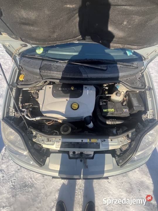 Renault Scenic Rok produkcji 2001 lubelskie Bychawa