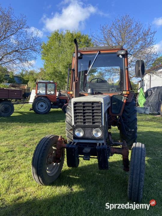 MTZ 80 Belarus Progress 860 D Główczyce sprzedam
